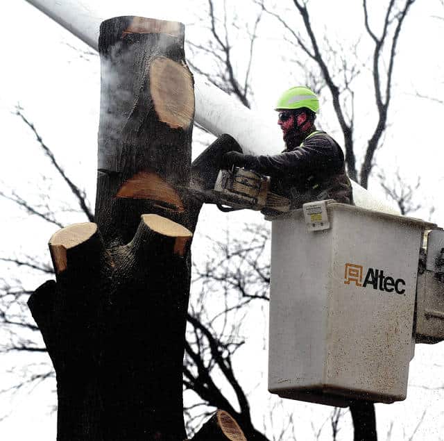 City of Troy Parks Department employee Dave Brown works at dismantling a large tree on Bristol Road at Trade Square West last week. Mike Ullery | Miami Valley Today