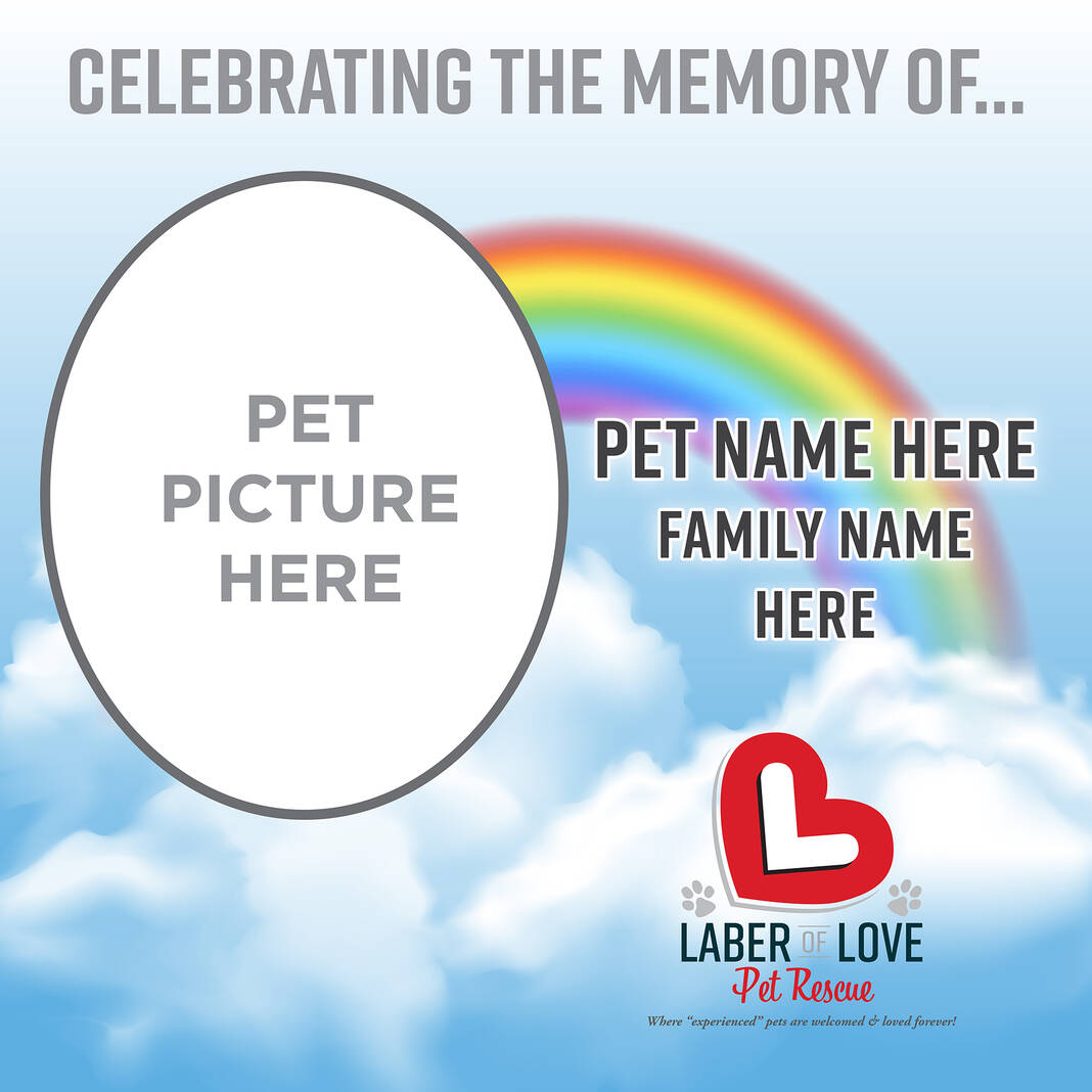 Laber of Love offers pet memorial plaques Miami Valley Today